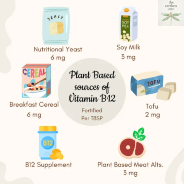 Plant Based Sources of Vitamin B12